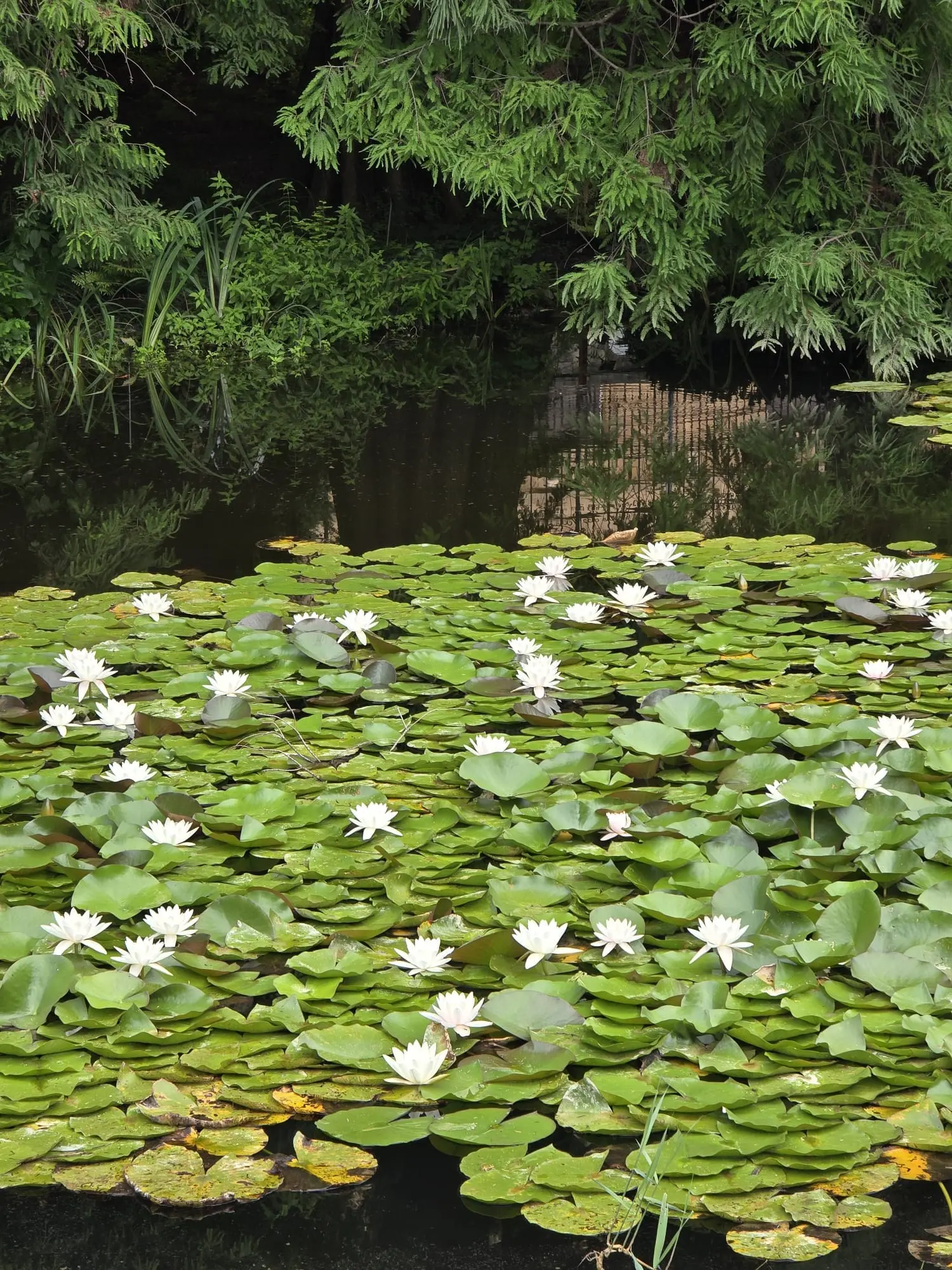 Parc botanique