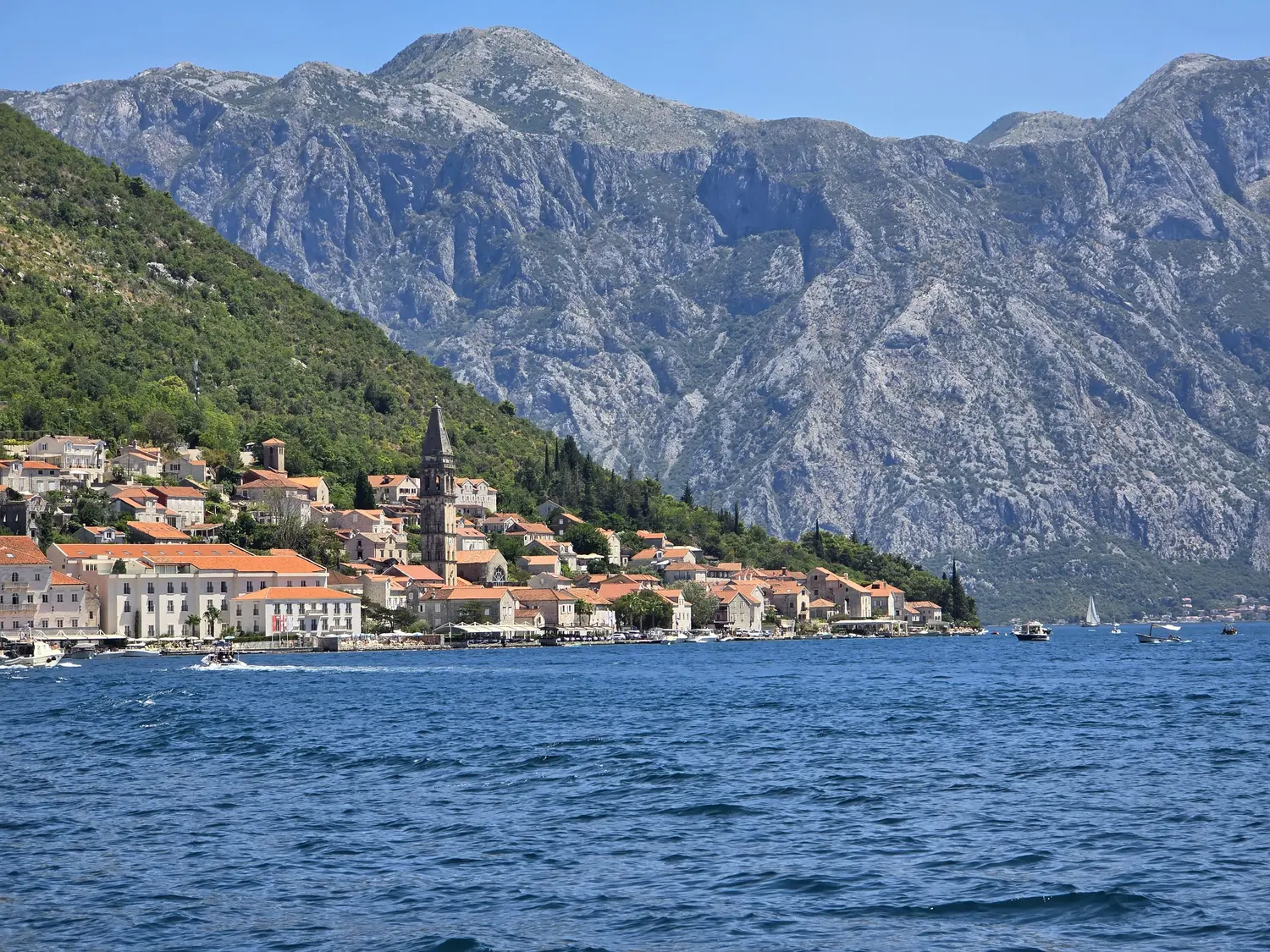 Kotor