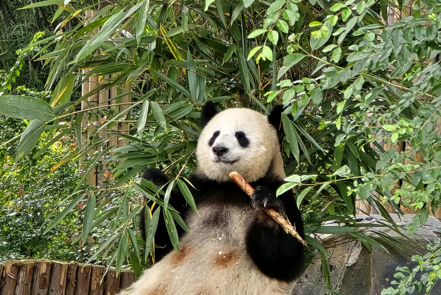 Chengdu