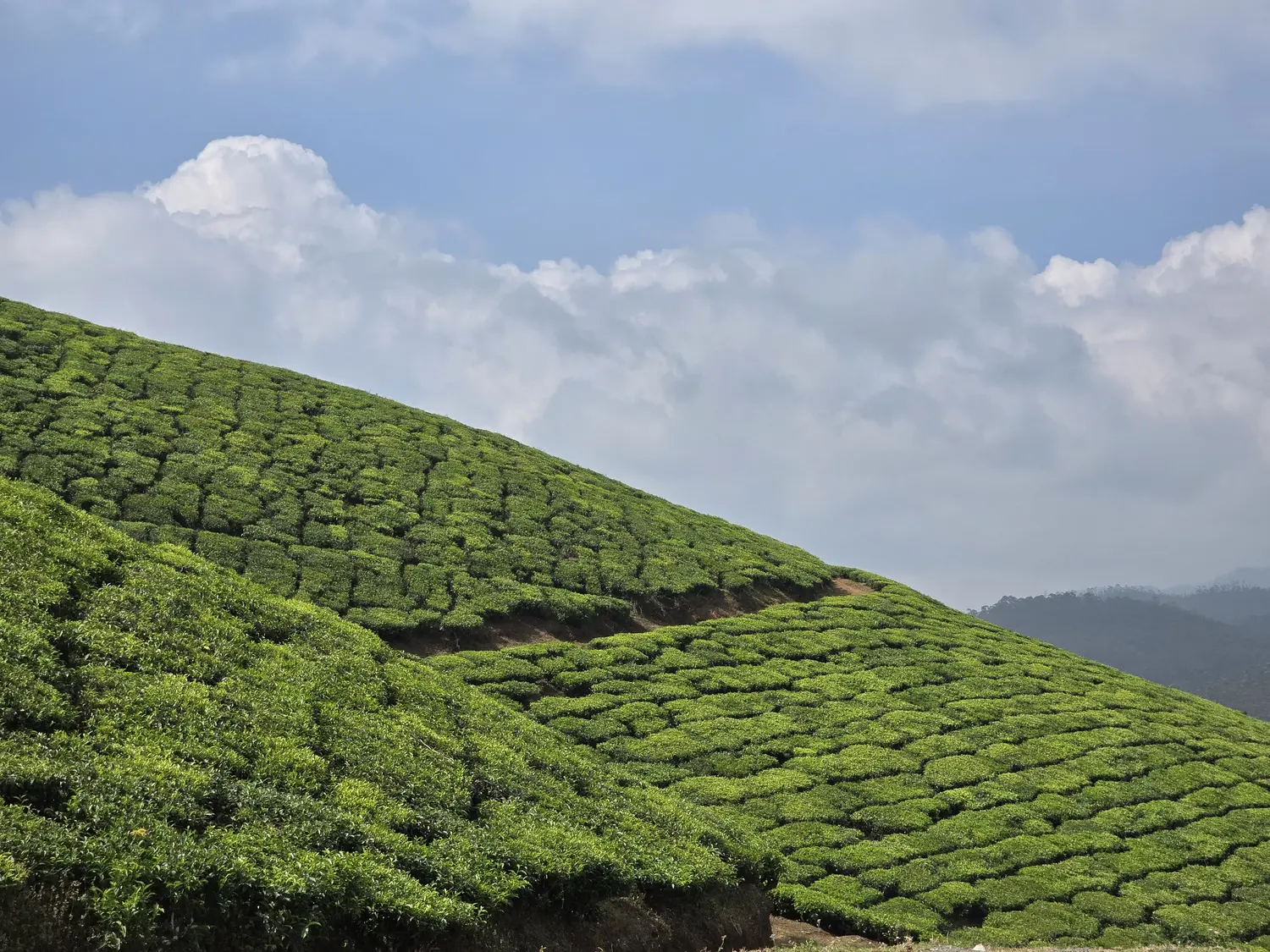 Munnar