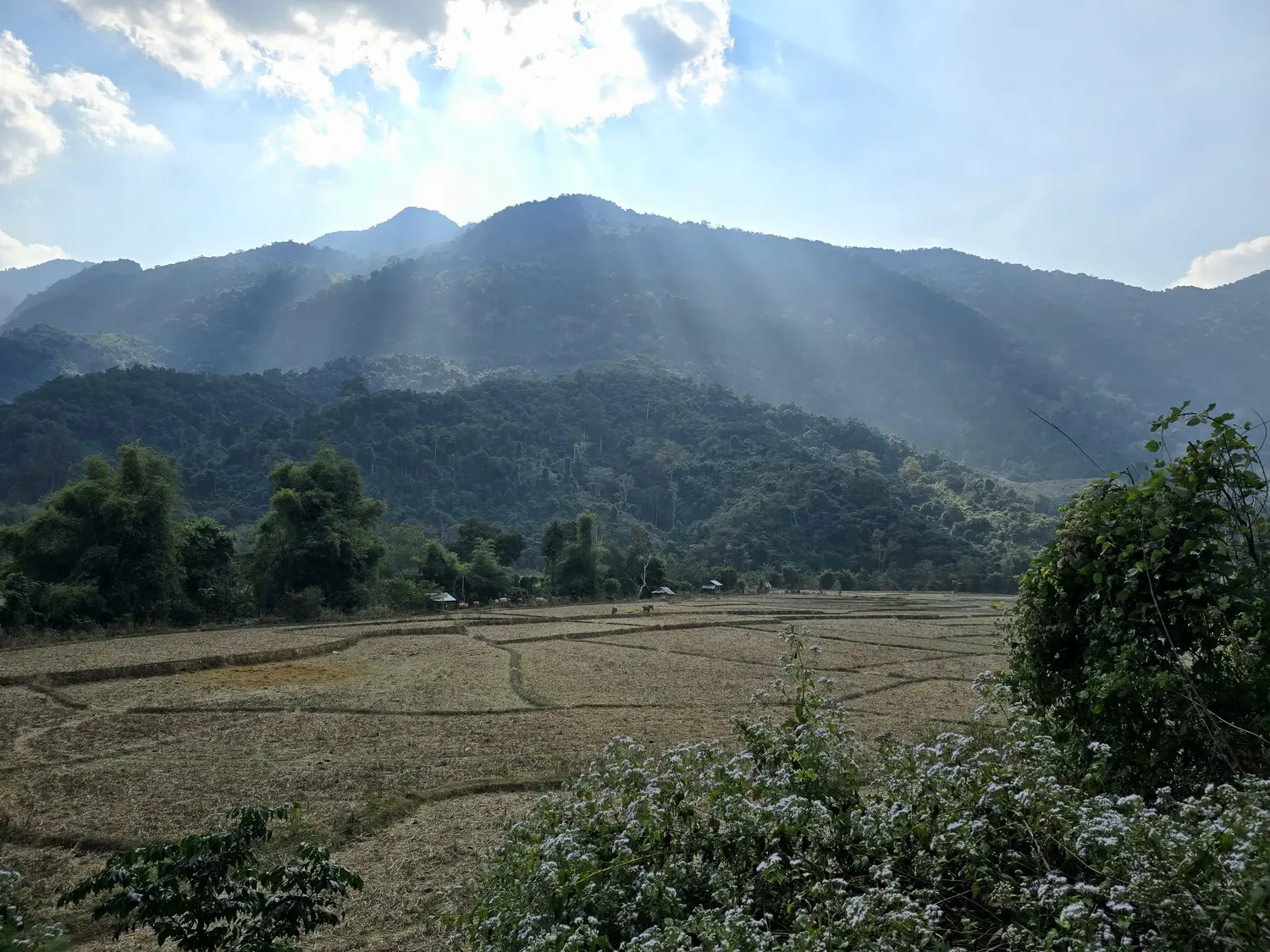 Nord du Laos