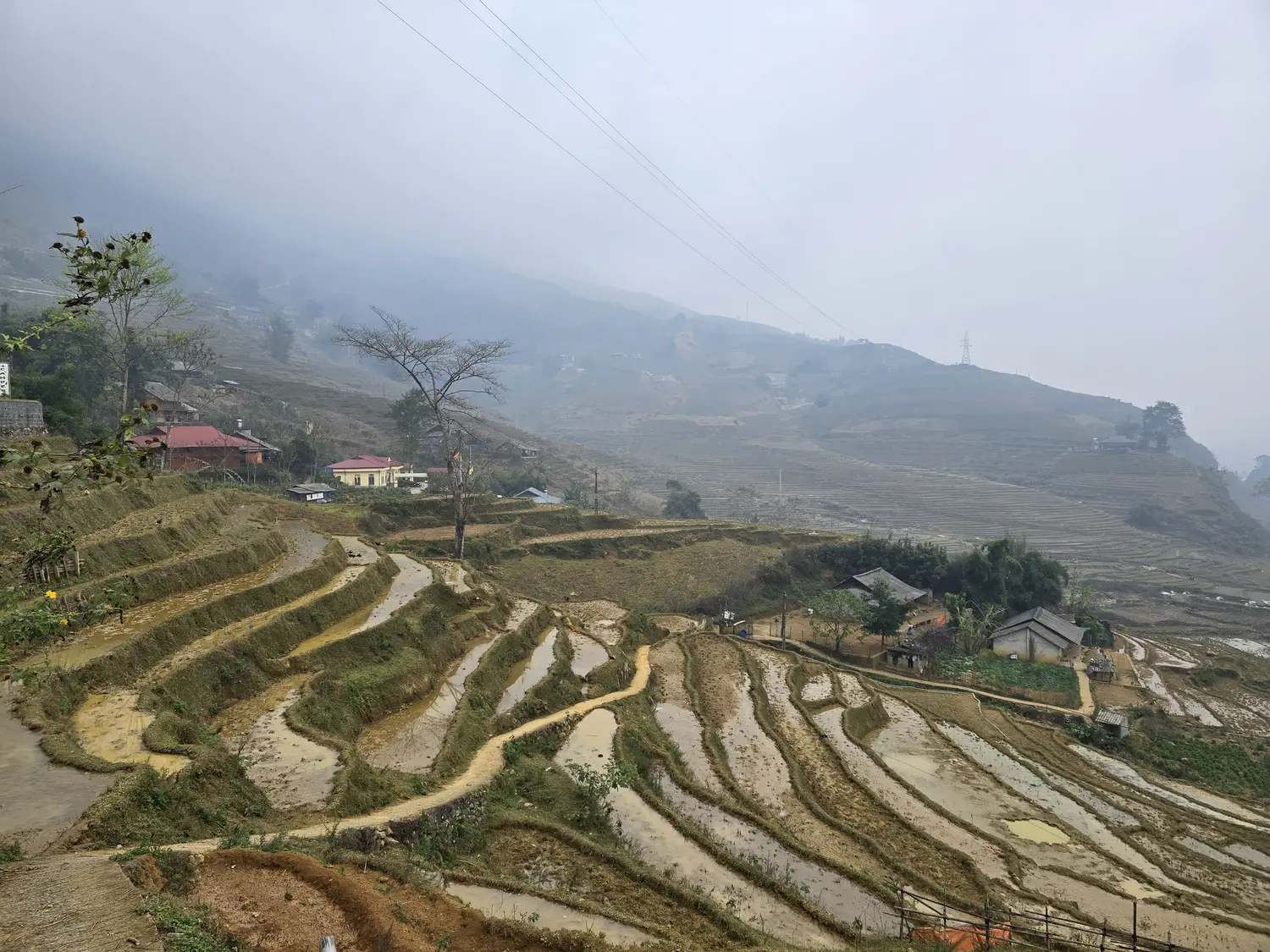 Sapa