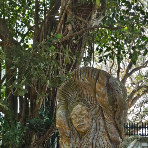 WhatsApp Image 2024-12-29 at 15.28.27