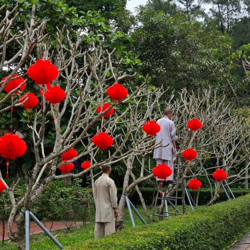 WhatsApp Image 2025-02-11 at 18.48.01(1)