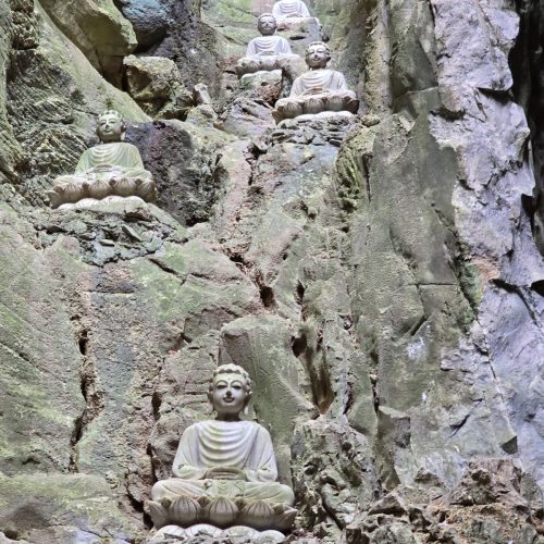 WhatsApp Image 2025-02-13 at 10.16.28(2)