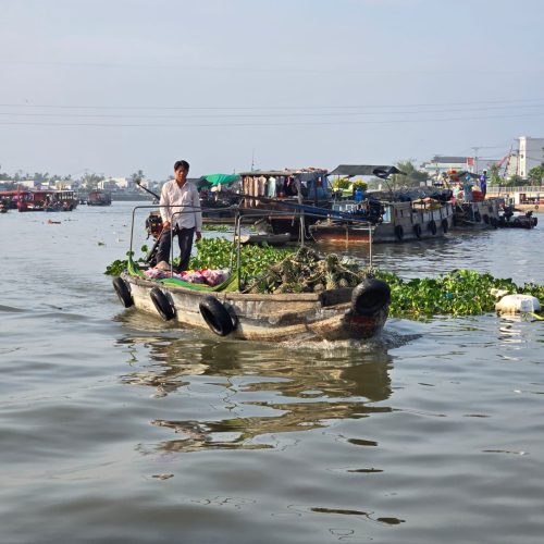 WhatsApp Image 2025-02-17 at 15.31.21(1)