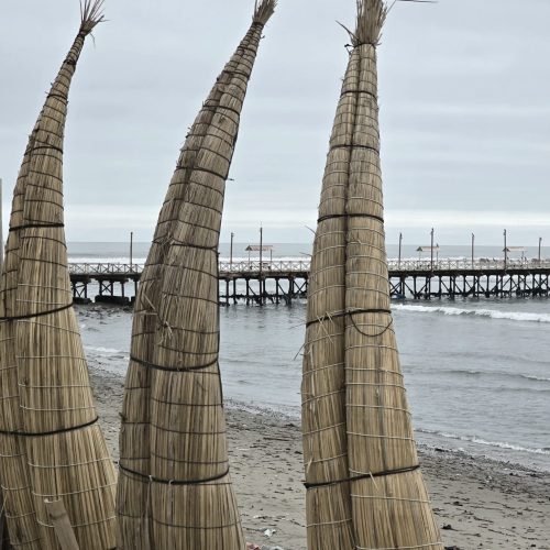 WhatsApp Image 2025-08-31 at 15.45.19(2)