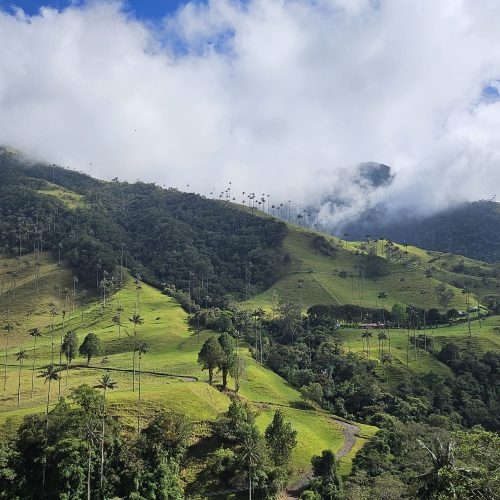 WhatsApp Image 2025-08-31 at 18.06.00