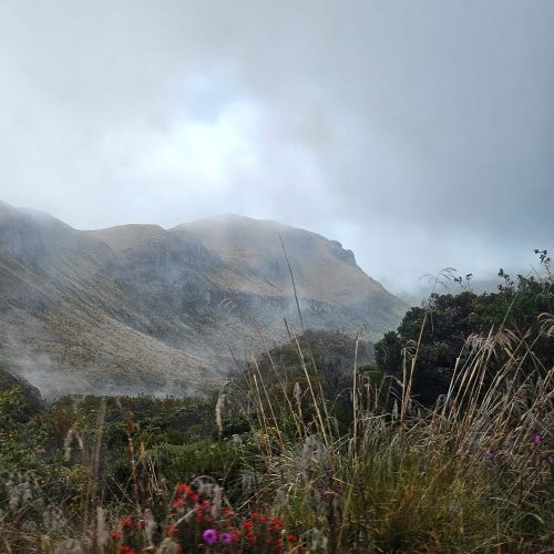 WhatsApp Image 2025-08-31 at 18.08.08(2)