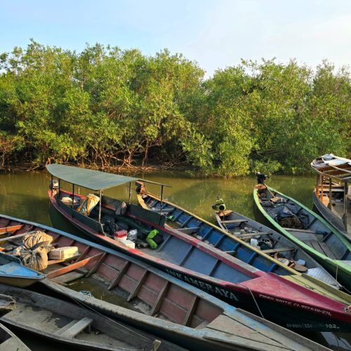 WhatsApp Image 2025-10-09 at 17.44.36