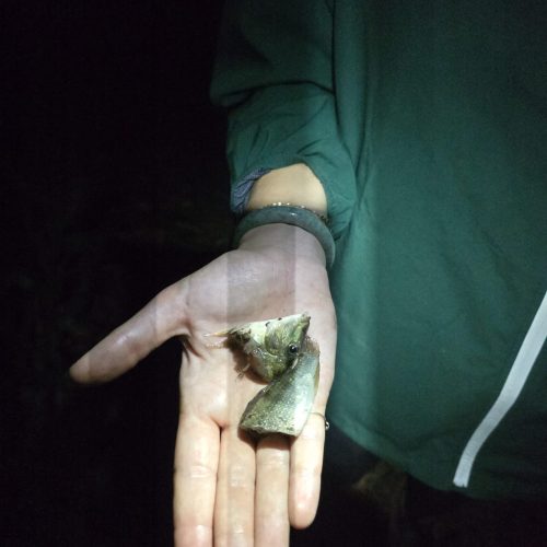 WhatsApp Image 2025-10-09 at 17.44.36(3)