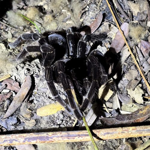 WhatsApp Image 2025-10-09 at 17.44.37