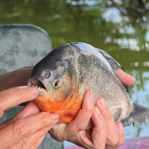 WhatsApp Image 2025-10-09 at 17.44.37(2)