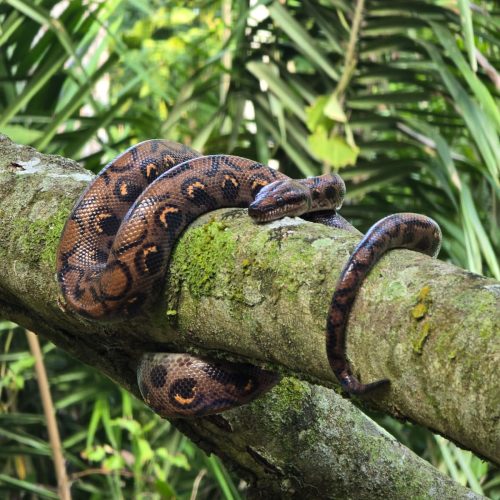 WhatsApp Image 2025-10-09 at 17.44.38(1)