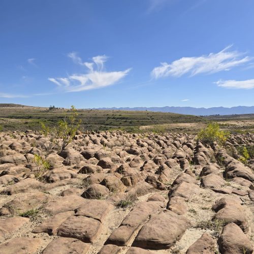 WhatsApp Image 2025-10-09 at 18.05.40