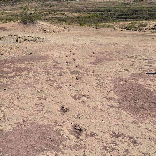 WhatsApp Image 2025-10-09 at 18.05.40(1)