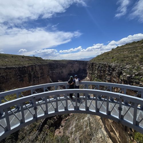 WhatsApp Image 2025-10-09 at 18.05.40(3)