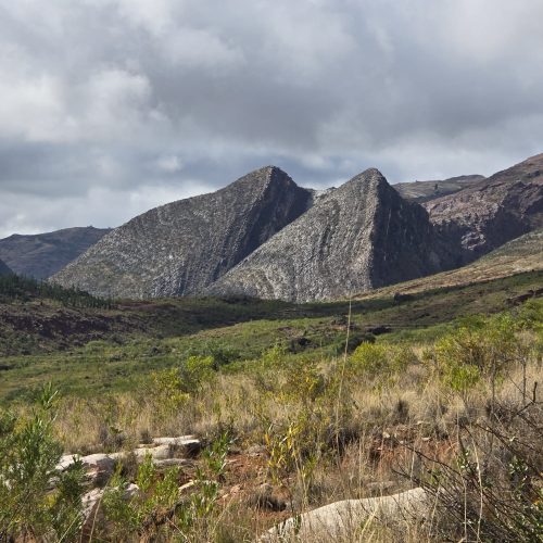 WhatsApp Image 2025-10-09 at 18.05.40(4)