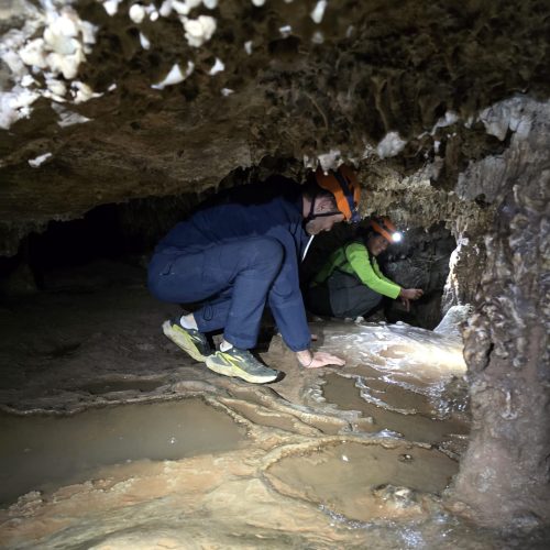 WhatsApp Image 2025-10-09 at 18.05.40(5)