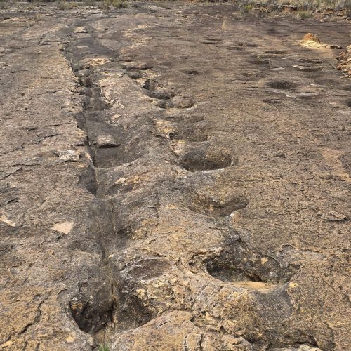 WhatsApp Image 2025-10-09 at 18.05.41