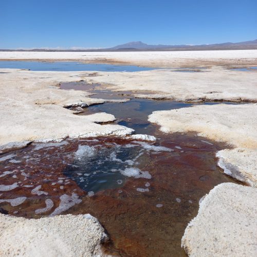 WhatsApp Image 2025-10-31 at 09.42.54(1)