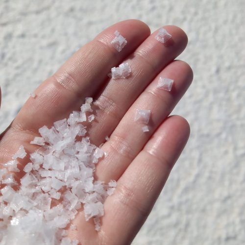 WhatsApp Image 2025-10-31 at 09.42.55(1)