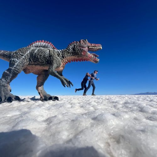 WhatsApp Image 2025-10-31 at 09.43.25