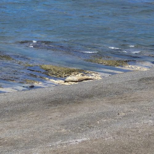 WhatsApp Image 2025-11-11 at 11.51.04(6)