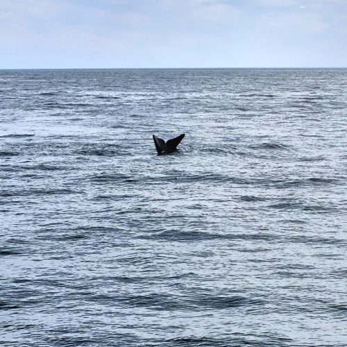 WhatsApp Image 2025-11-11 at 11.51.04(7)