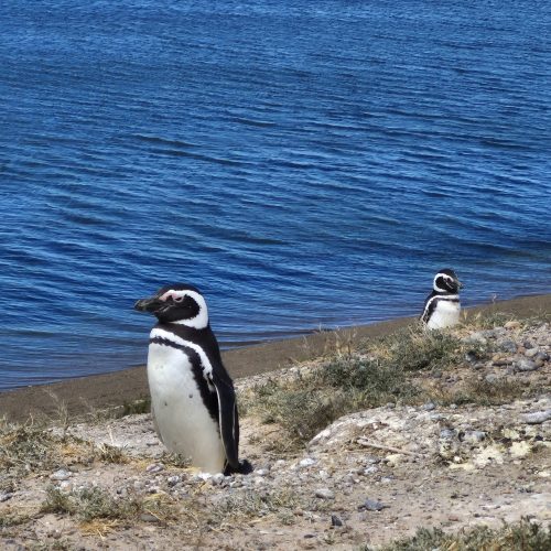 WhatsApp Image 2025-11-11 at 11.51.04(9)