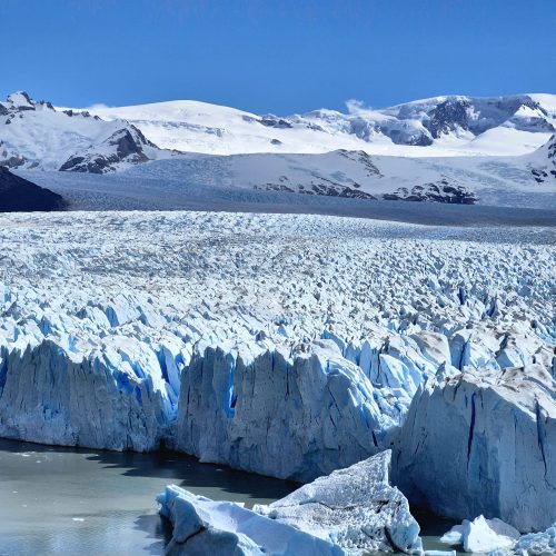 WhatsApp Image 2025-11-11 at 11.51.05(7)