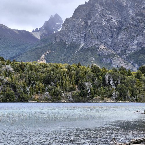 WhatsApp Image 2025-11-11 at 11.54.03(2)