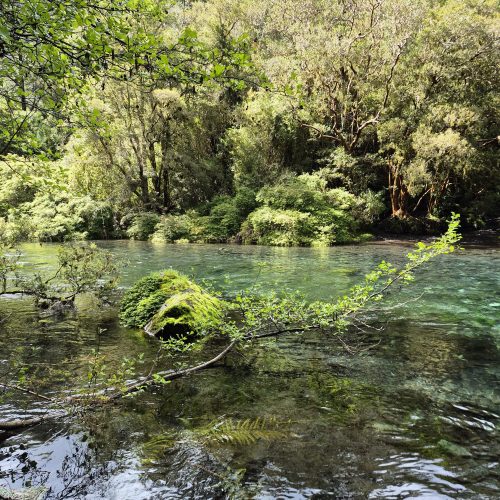 WhatsApp Image 2025-11-11 at 11.54.03(4)