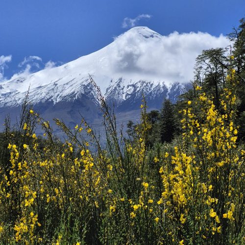 WhatsApp Image 2025-11-11 at 11.54.04