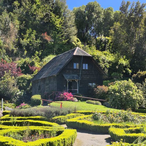 WhatsApp Image 2025-11-11 at 11.54.04(3)