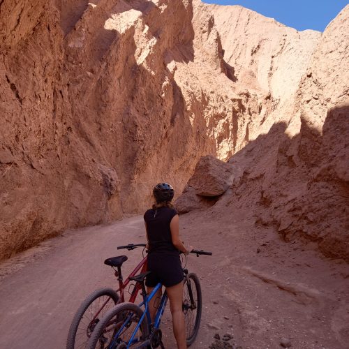 WhatsApp Image 2025-11-12 at 16.36.17(1)