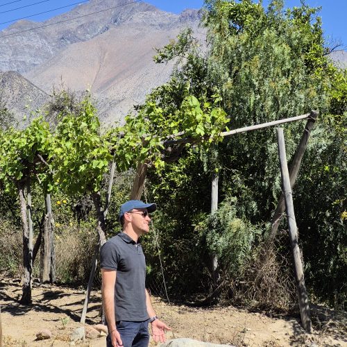 WhatsApp Image 2025-11-12 at 16.37.41(1)