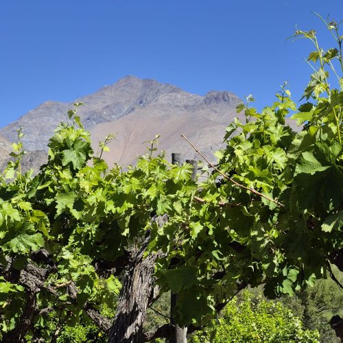 WhatsApp Image 2025-11-12 at 16.37.42