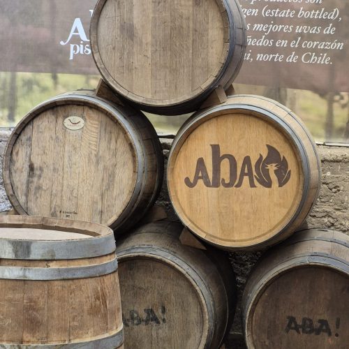 WhatsApp Image 2025-11-12 at 16.37.42(1)